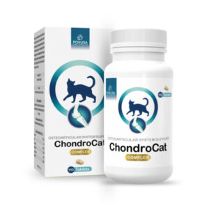 Pokusa ChondroCat- tabletki na stawy dla kota
